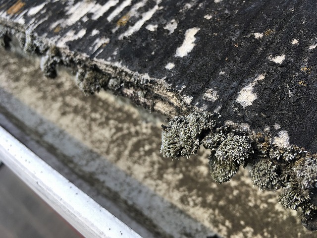 雨樋付近のカラーベスト劣化に注意